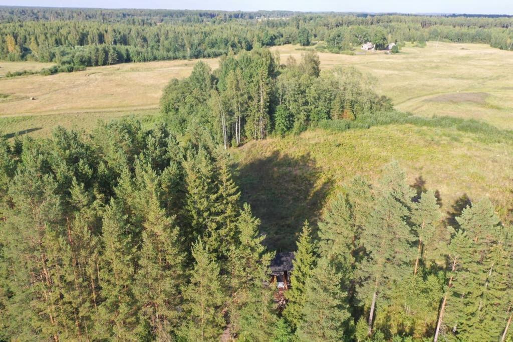 Viking House In The Tree! Jacuzzi, Sauna,apkure! * Lici (Talsi)