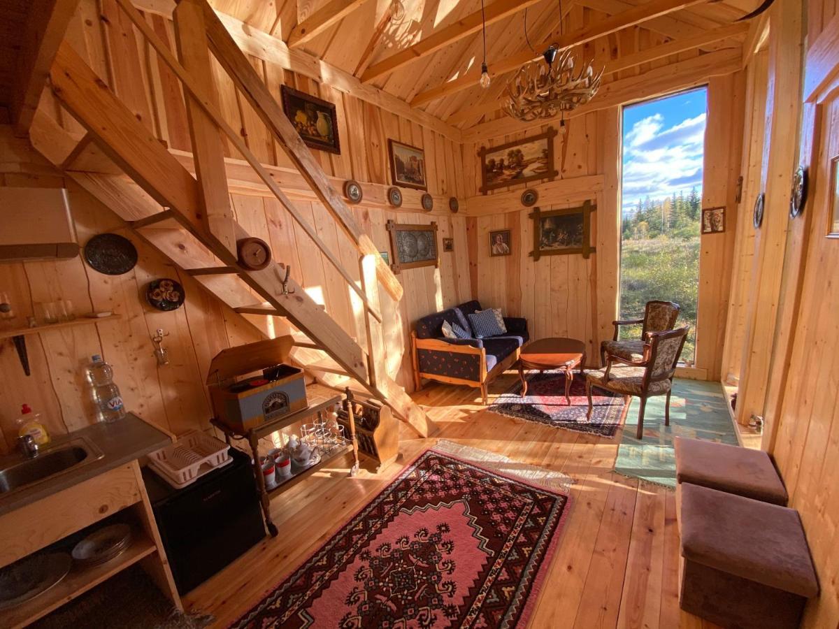 Viking House In The Tree! Jacuzzi, Sauna,apkure! * Lici (Talsi)