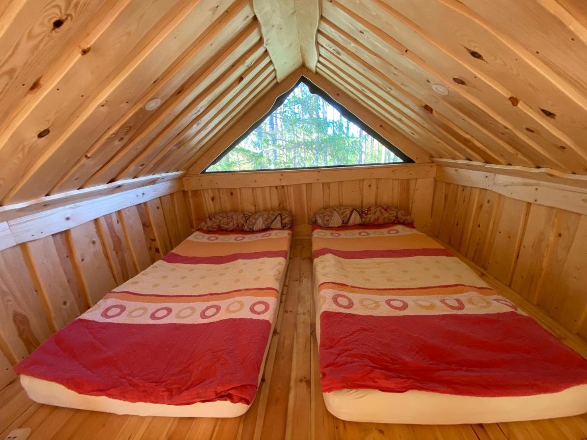 Viking House In The Tree! Jacuzzi, Sauna,apkure! Lici (Talsi)